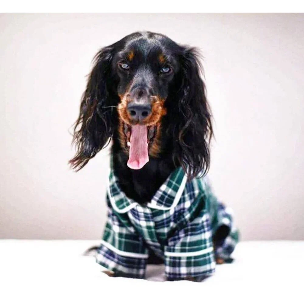 FabDog Plaid Pajamas Puppy Dog 20